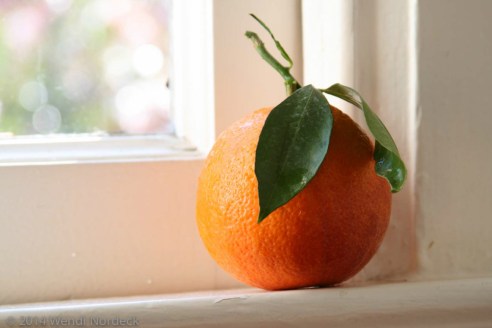 Blood Orange from http://roux44.com