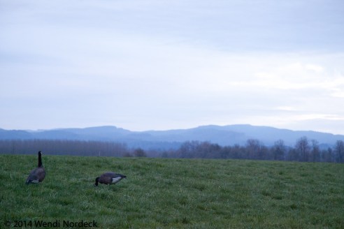 Hunting from http://roux44.com