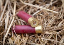 Hunting from http://roux44.com