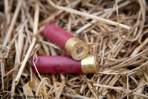 Hunting from http://roux44.com