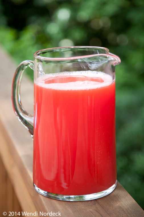 Watermelon Agua Fresca from http://roux44.com