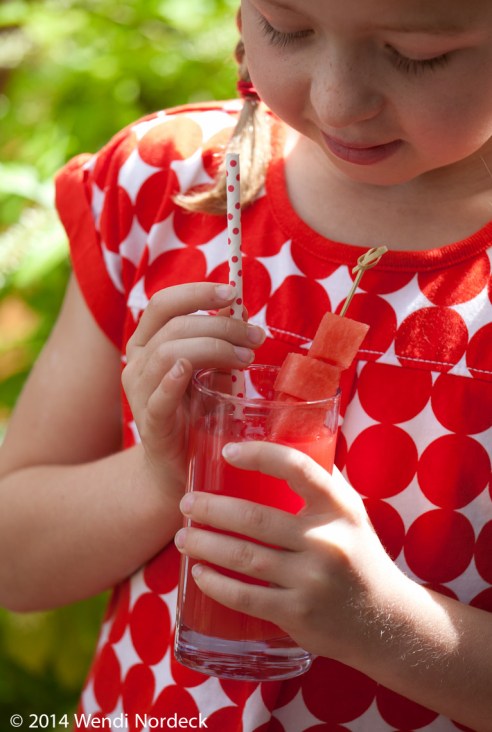 Watermelon Agua Fresca from http://roux44.com