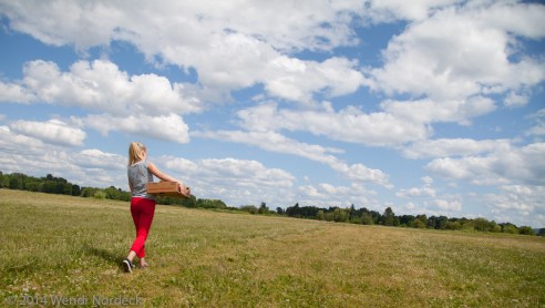 Strawberry Picking from https://roux44.com