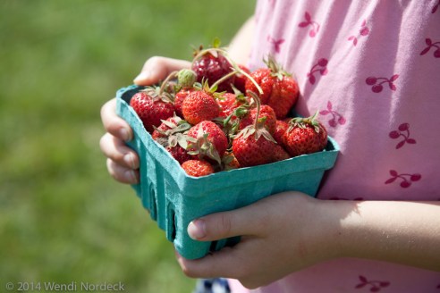 Strawberry Picking from https://roux44.com