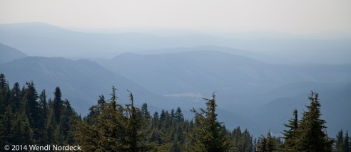 Nicky's Wild About Game from www.roux44.com