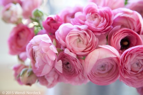 May Day Flowers from http://roux44.com