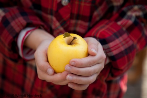 Apple Cider from http://roux44.com