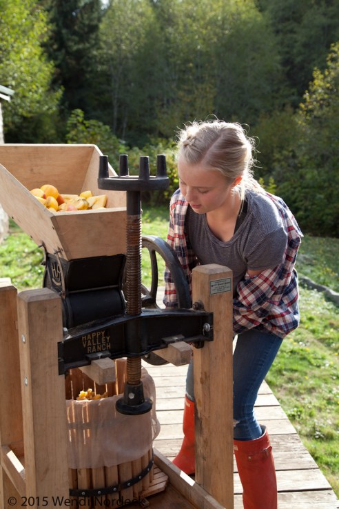Apple Cider from http://roux44.com