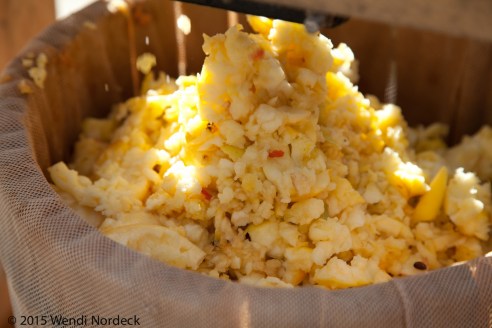 Apple Cider from http://roux44.com