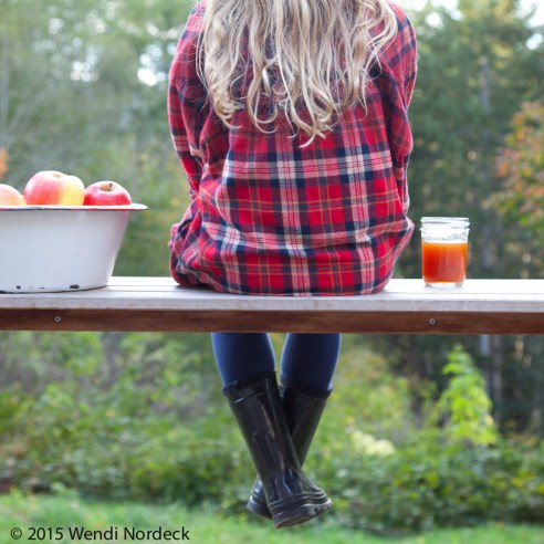 Apple Cider from http://roux44.com