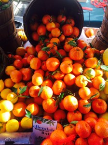 ellendale tangerines from roux44.com